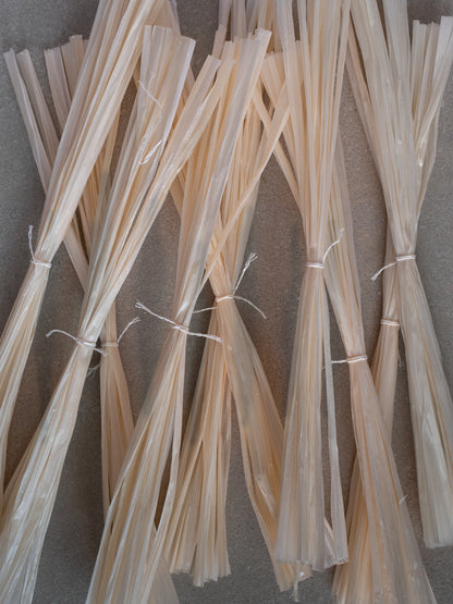 Pine Strings
