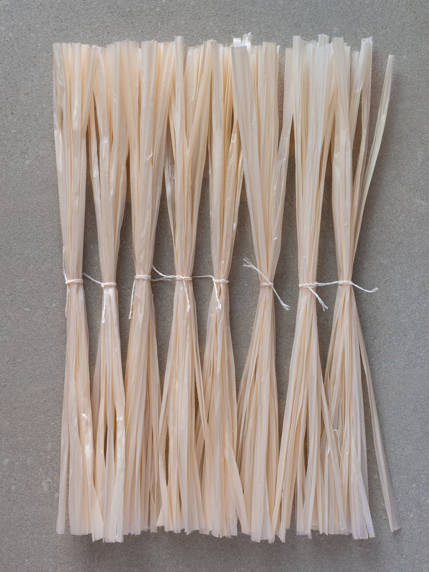 Pine Strings