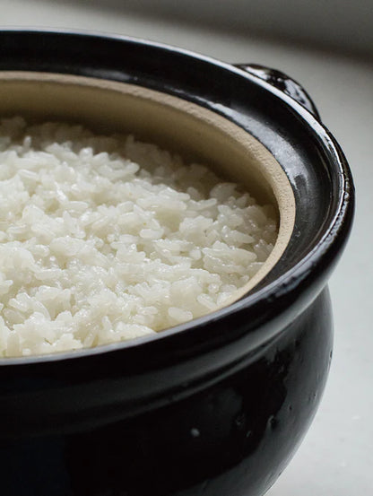 Ko-Iga Rice Donabe