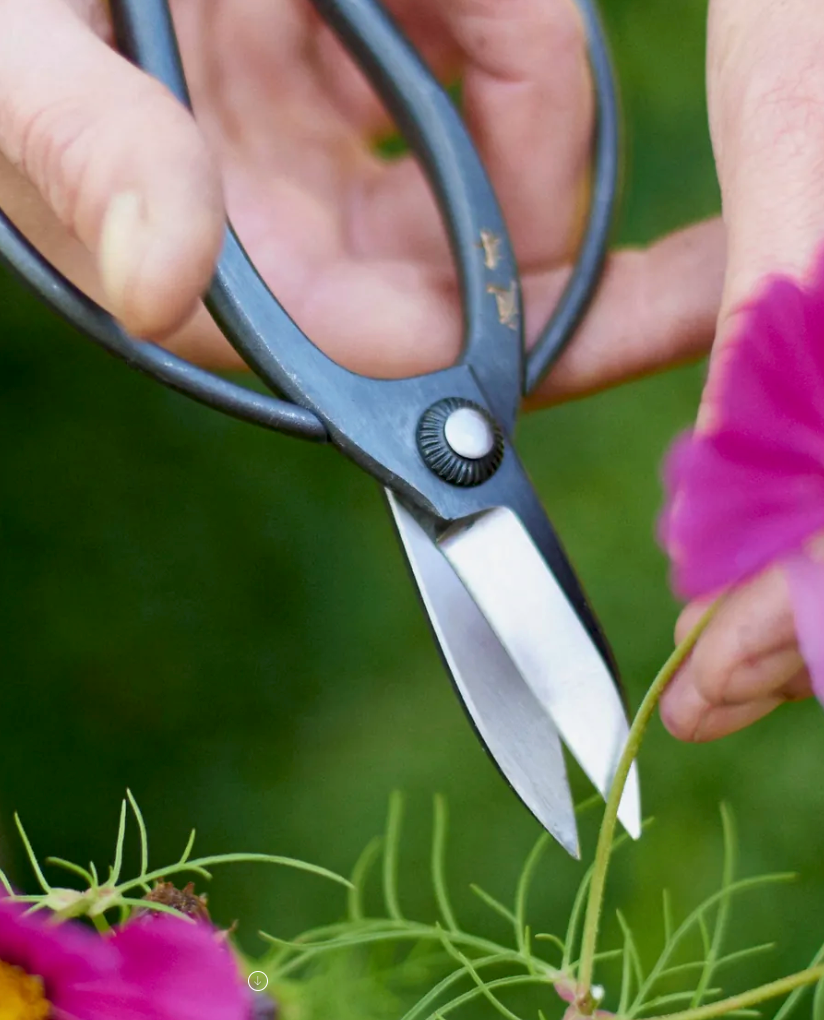 Sentei Garden Scissors