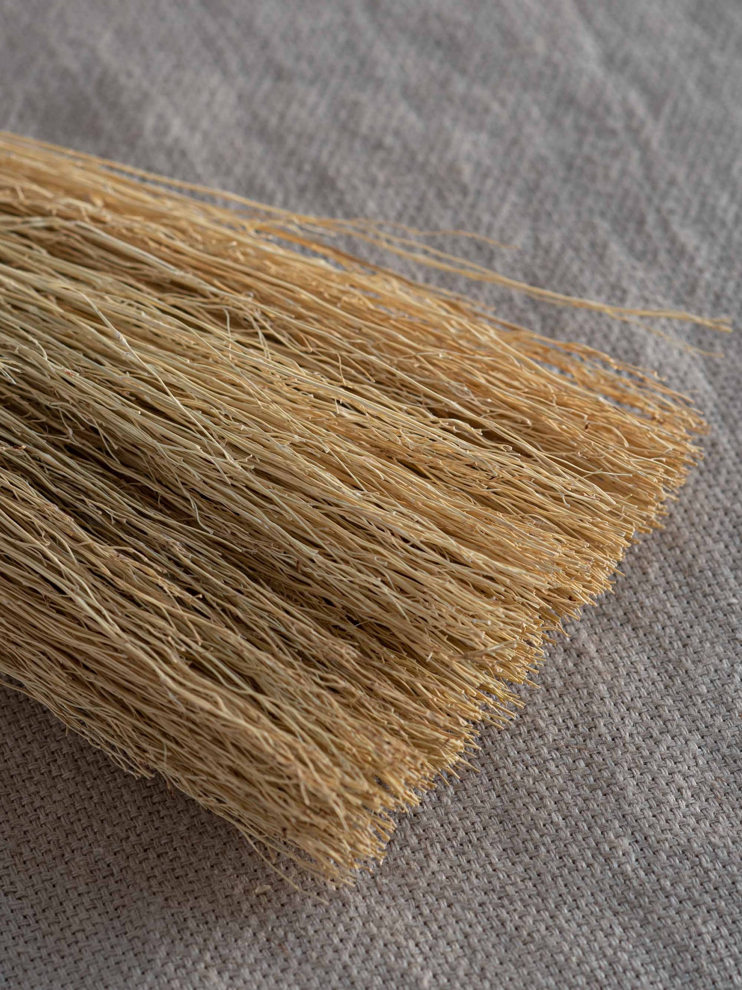 Japanese Grass Broom - Medium