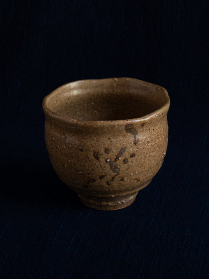 Shigaraki Tea Cup - Ochre
